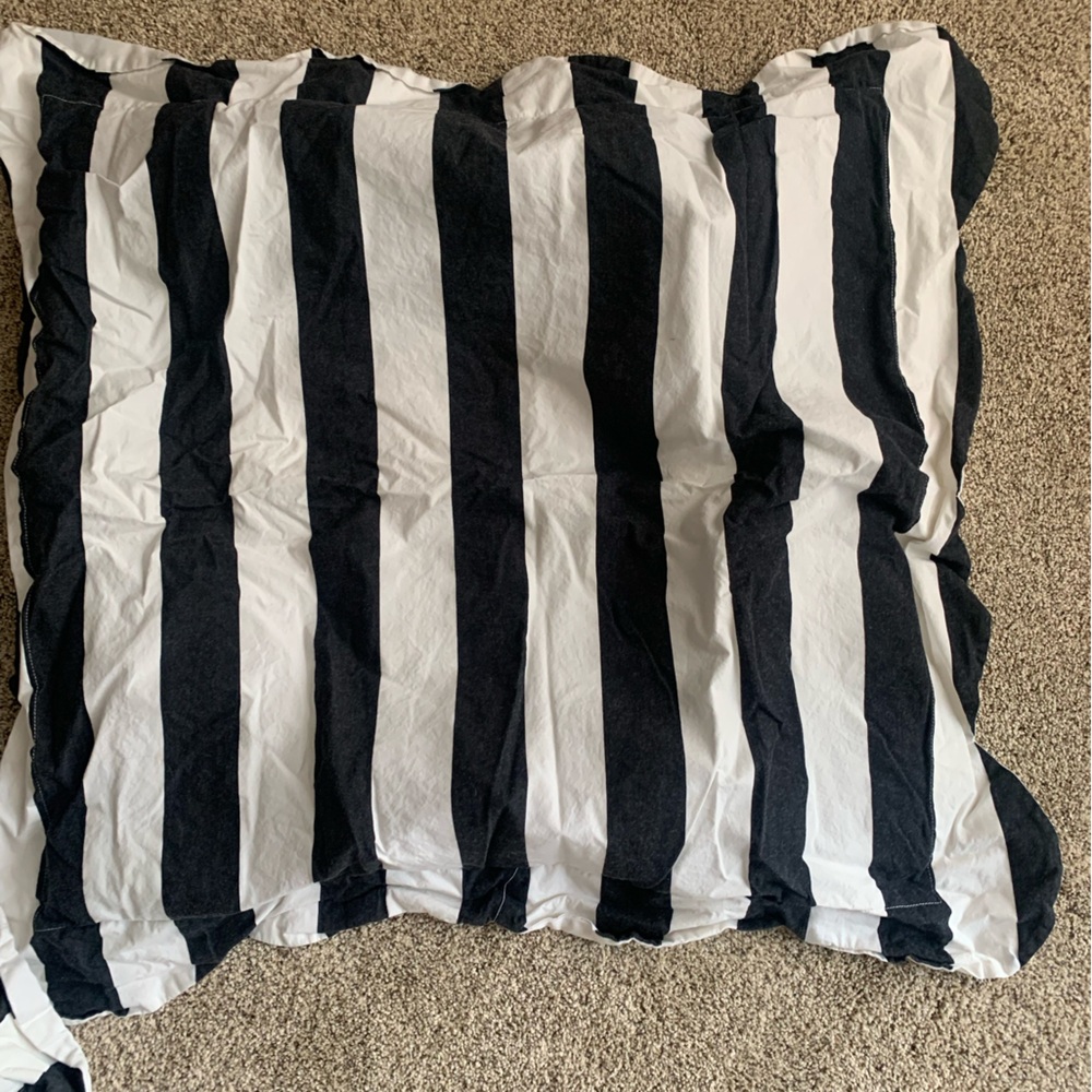 2 big pillow covers!